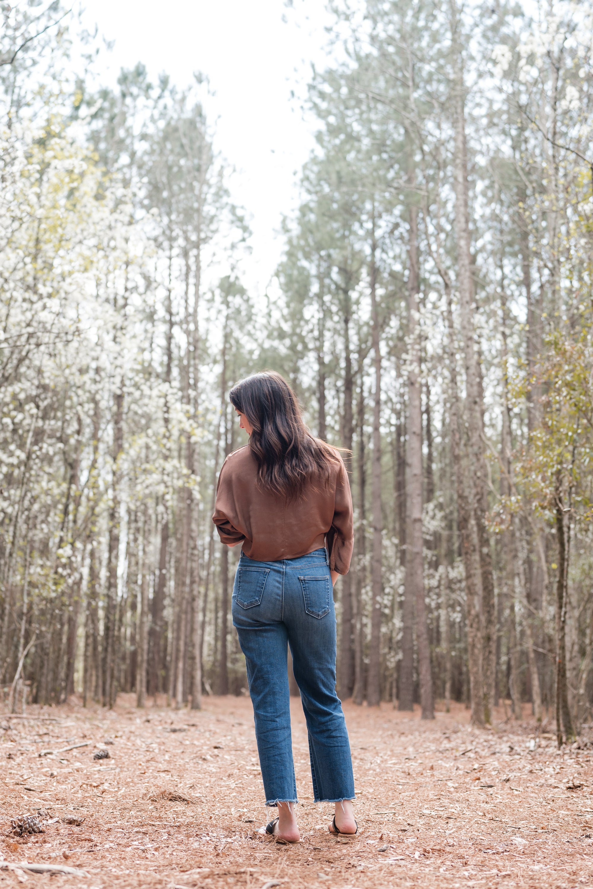 Front Knot Cropped Blouse in Chocolate